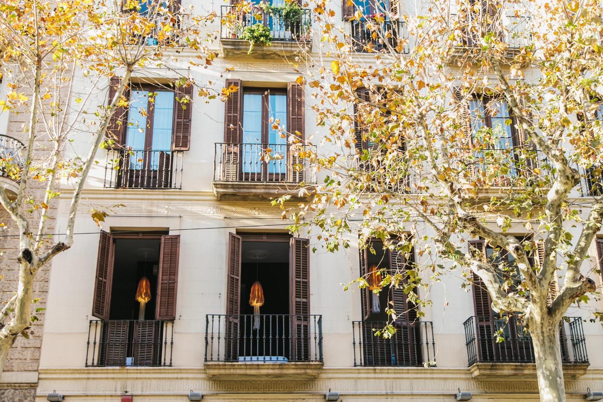 Zoorooms Boutique Guesthouse, Barcelona