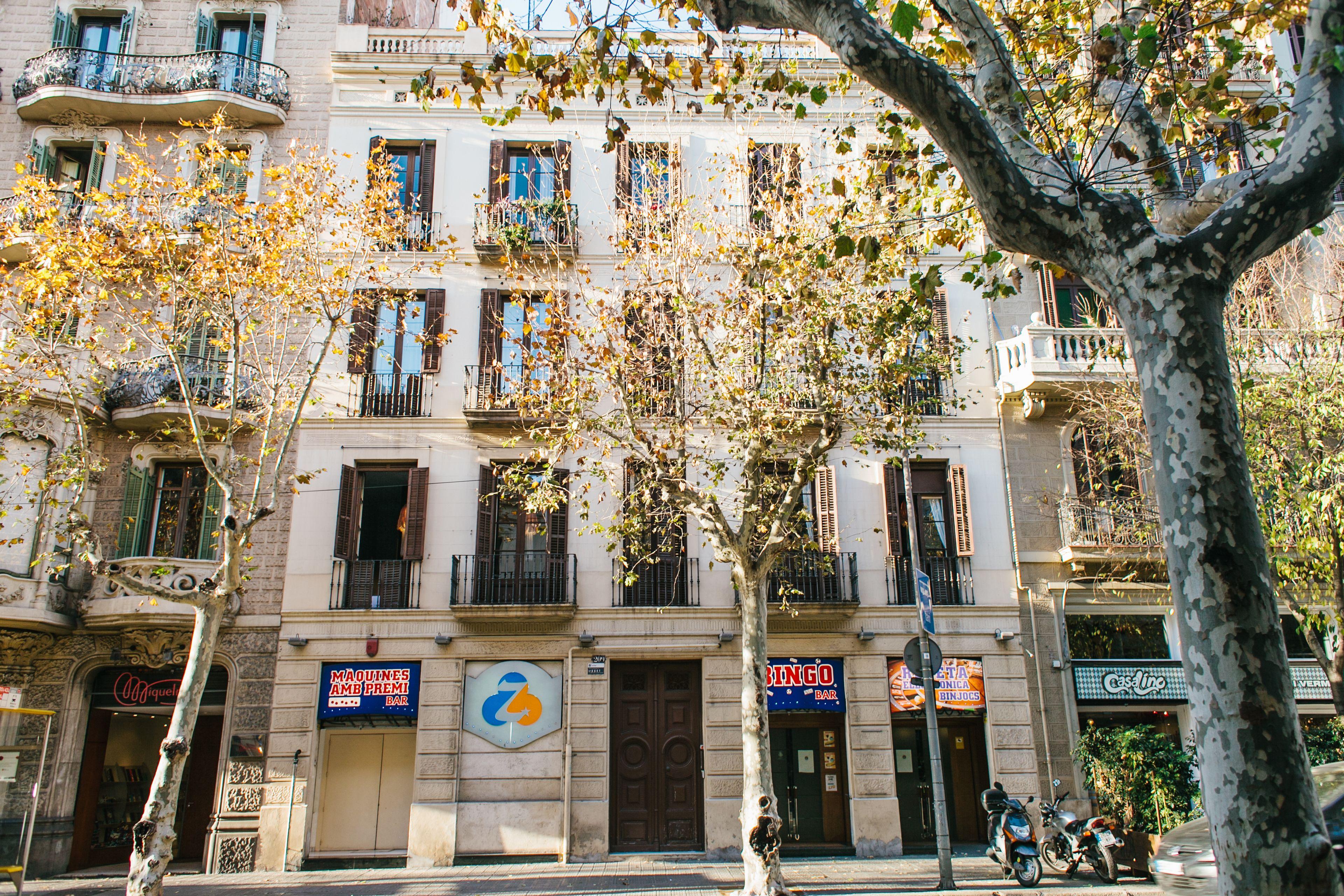 Zoorooms Boutique Guesthouse — Photos 2